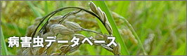 病害虫図鑑