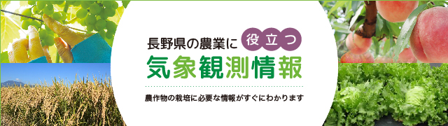 長野県の農業に役立つ気象観測情報[長野県ワイン用ぶどう栽培情報ネットワーク]